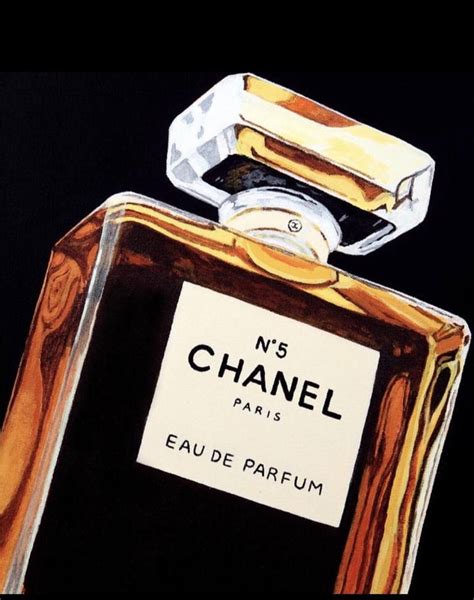 chanel wine bottles|Chanel bottle drawing.